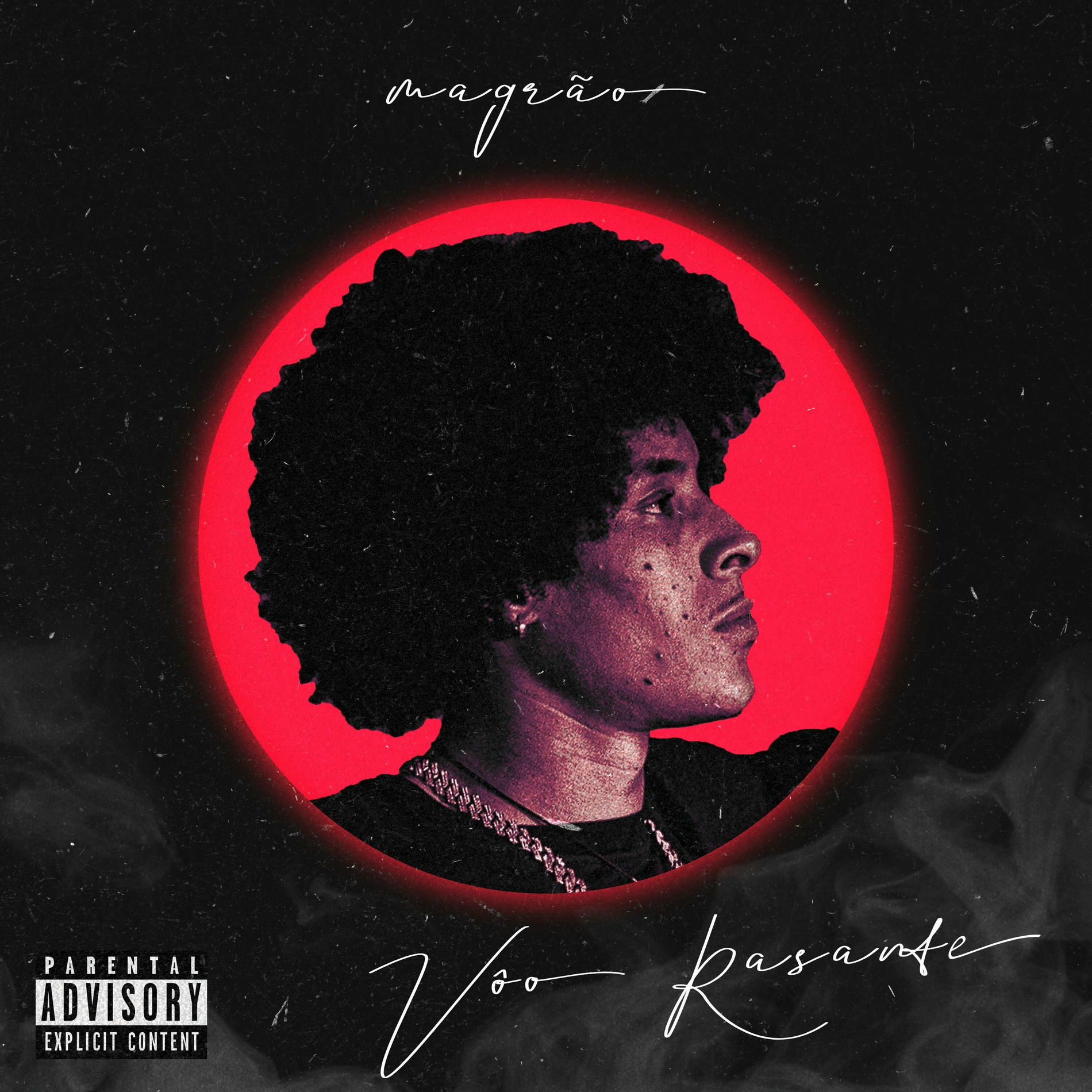 Album cover of Voo Rasante