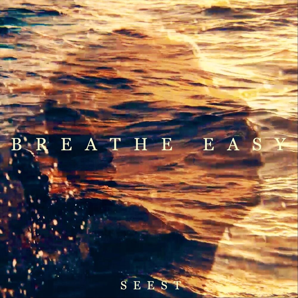Picture of Breathe Easy