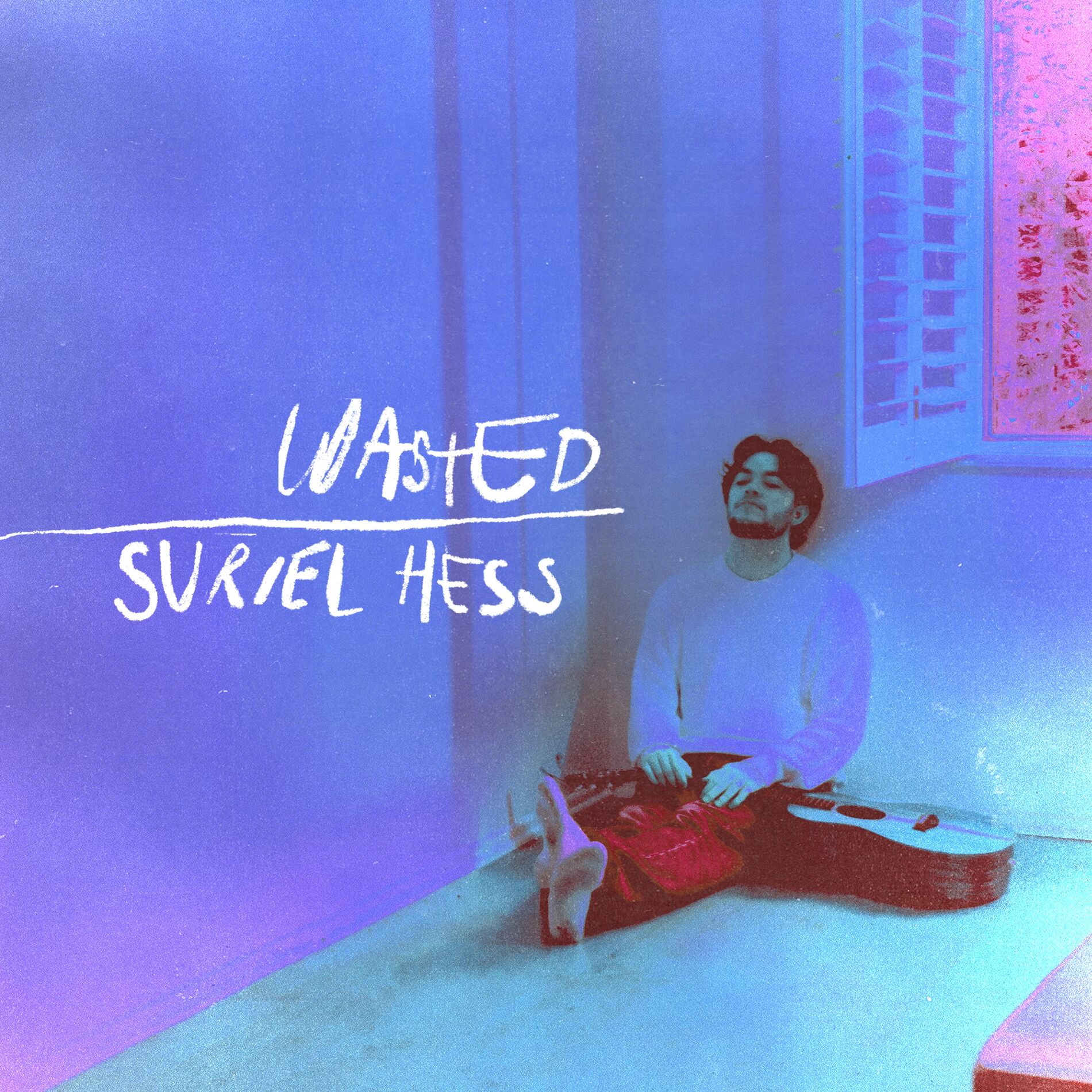 Album cover of Wasted