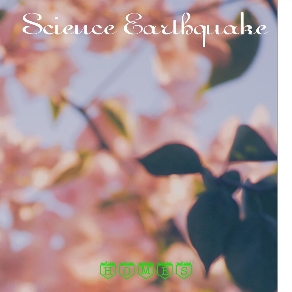Picture of Science Earthquake