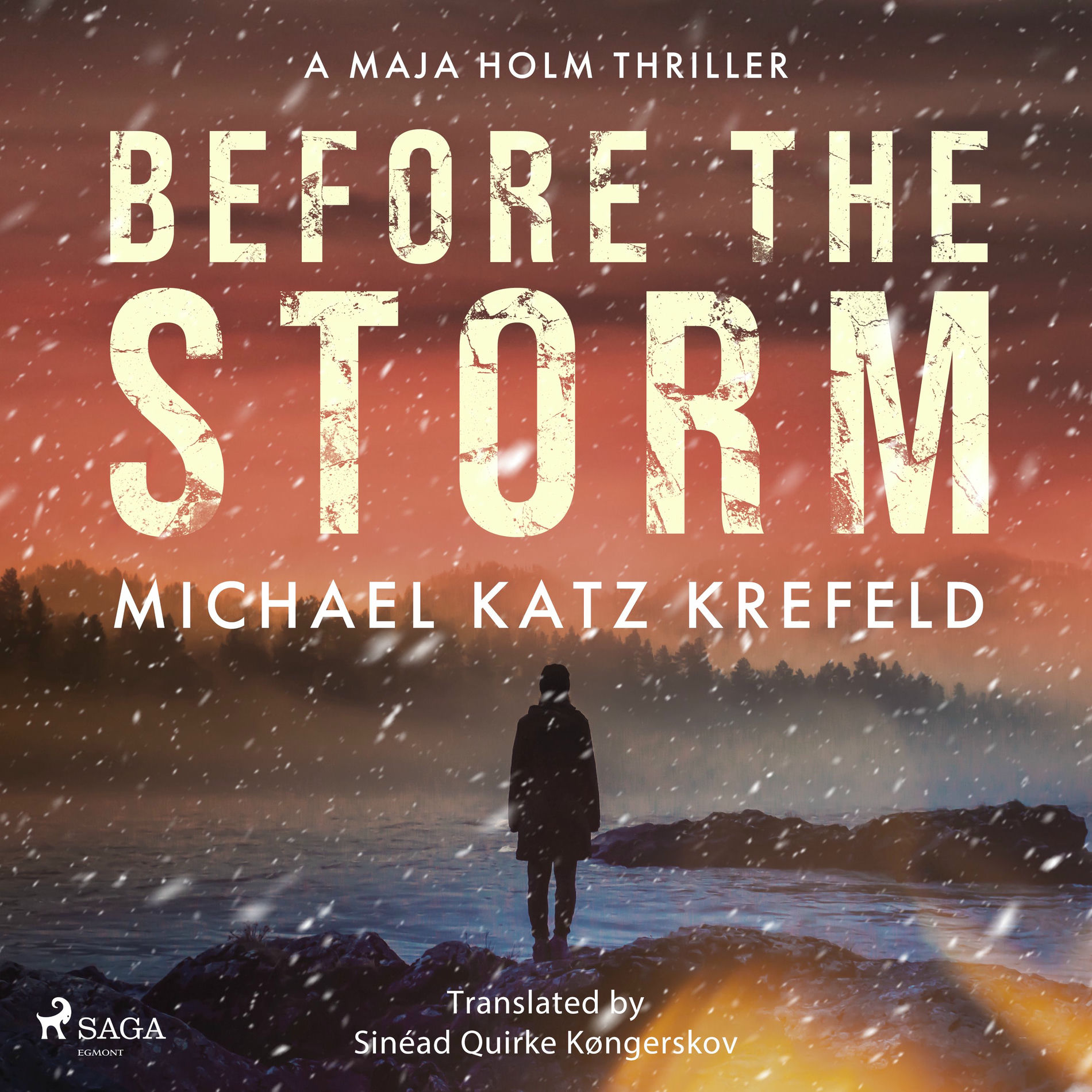 Album cover of Before the Storm: a gripping Scandinavian suspense thriller from the master of Danish crime