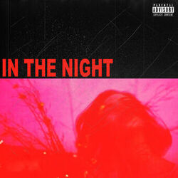 Cover of In The Night