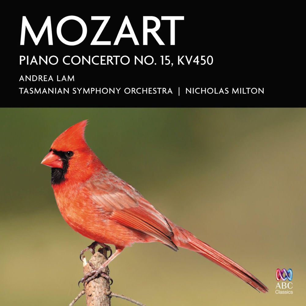 Album artwork for Piano Concerto No. 15 in B-Flat Major, K. 450: I. Allegro by Andrea Lam