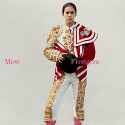 Cover of Frengers: Not Quite Friends But Not Quite Strangers