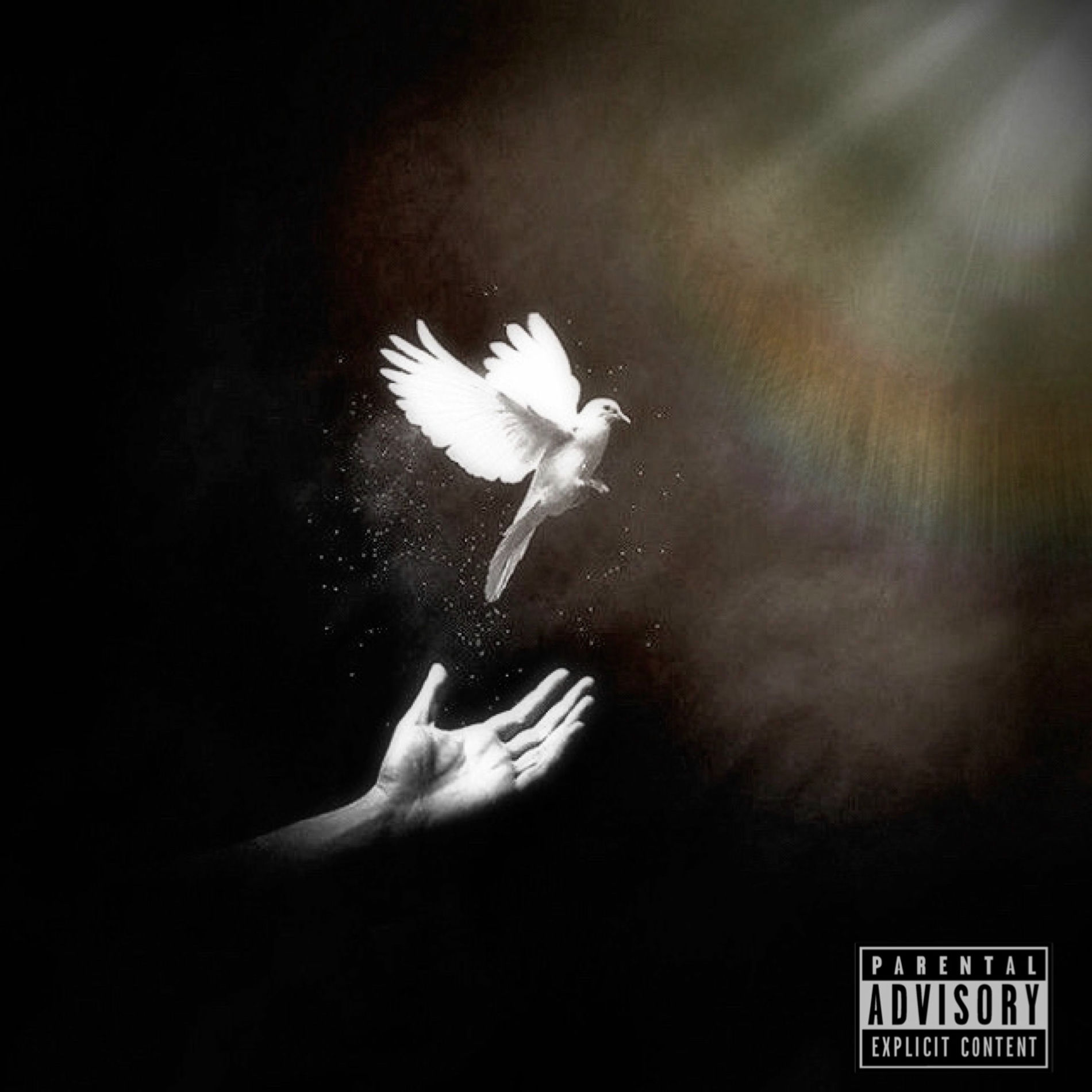 Album cover of saisho