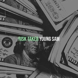 Cover of Risk Taker