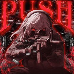 Cover of PUSH