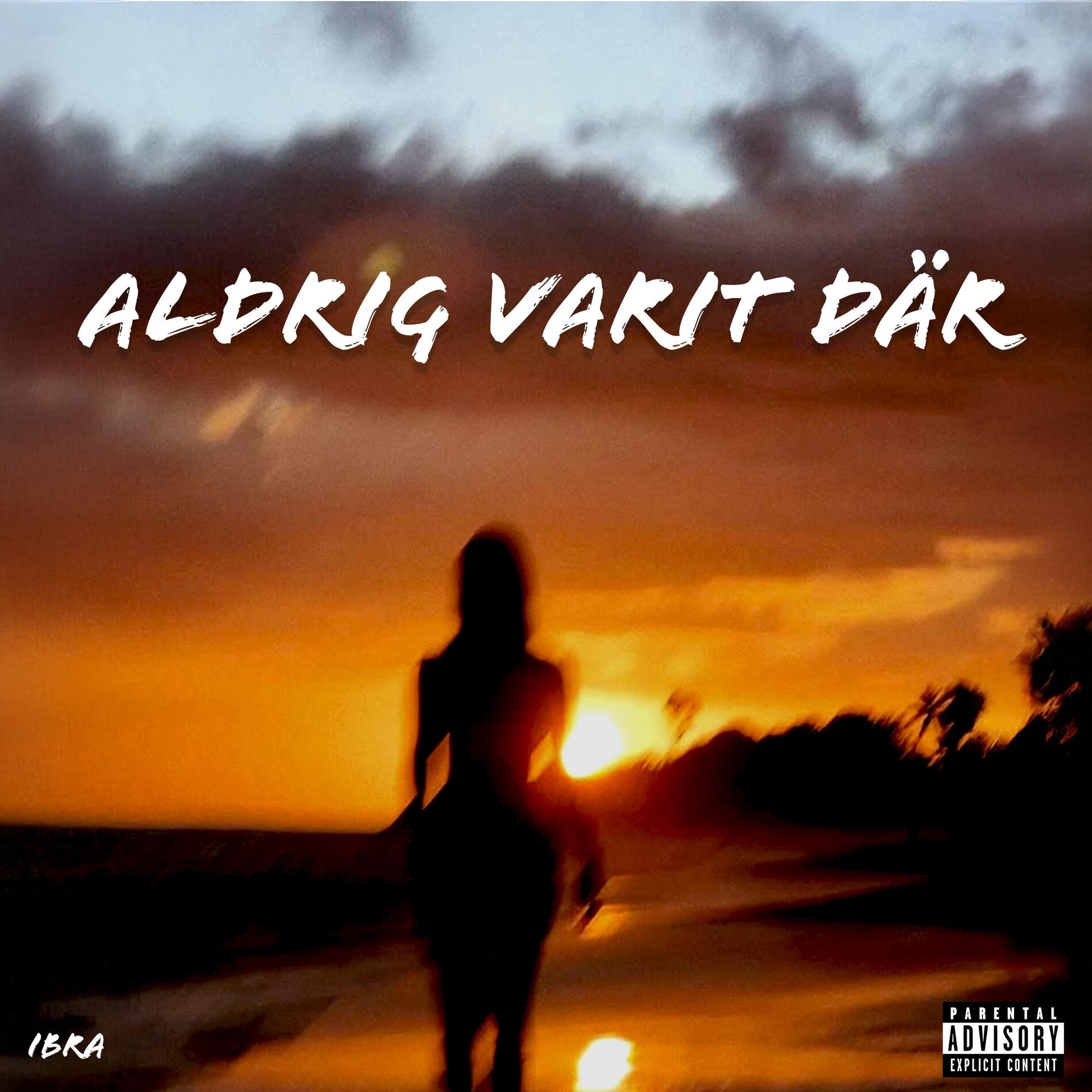 Album cover of Aldrig Varit Där