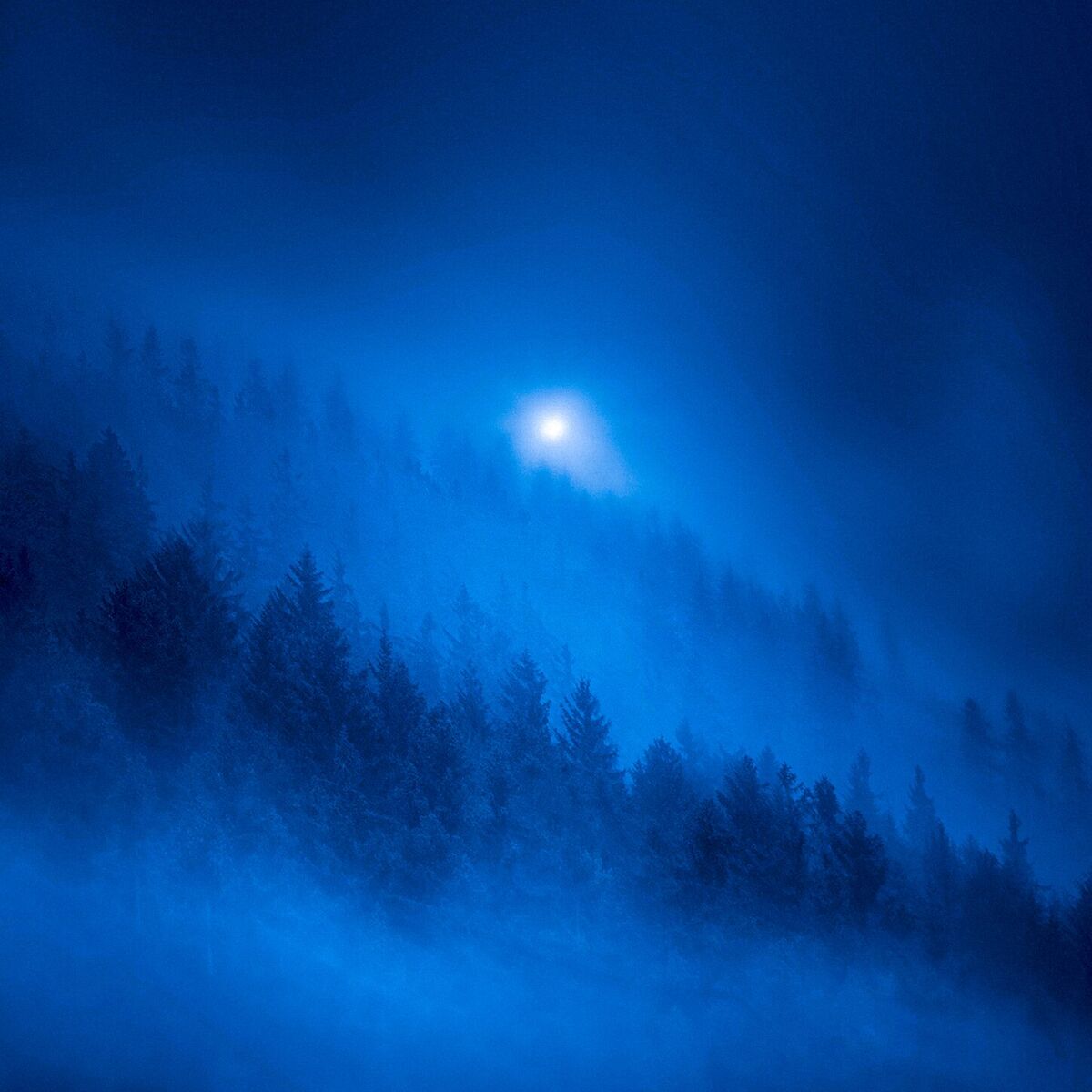 Album cover of as the light fades