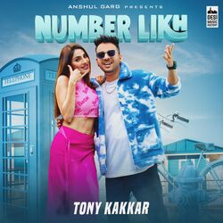 Cover of Number Likh