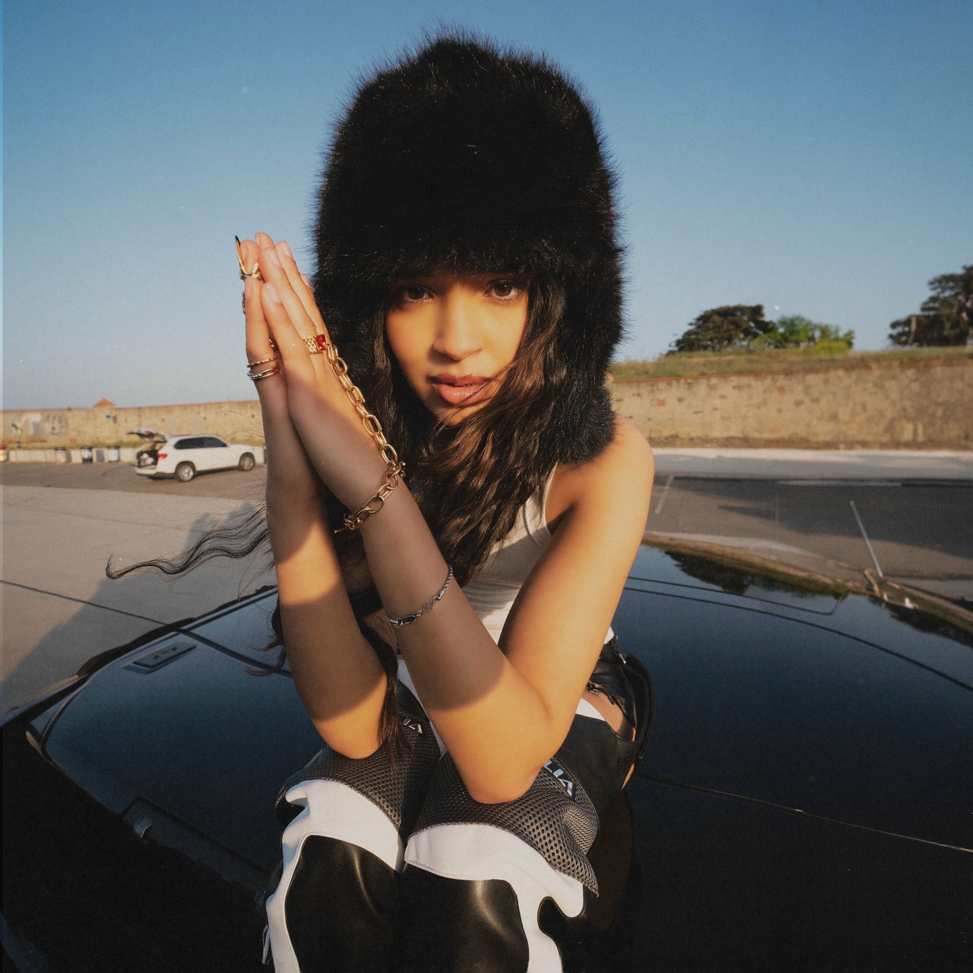 Album cover of Hummer