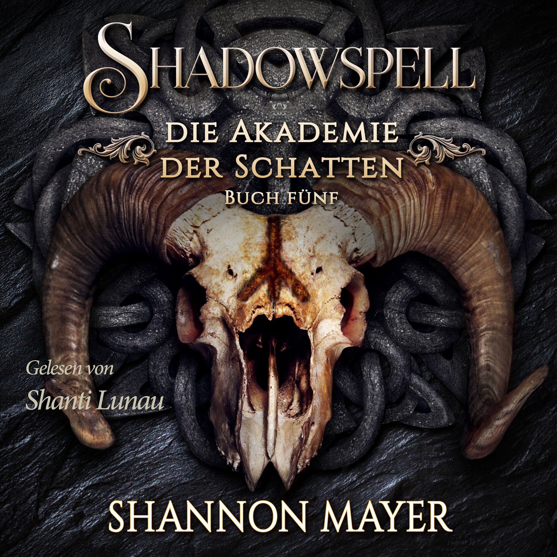 Album cover of Kapitel 1 - Shadowspell 5