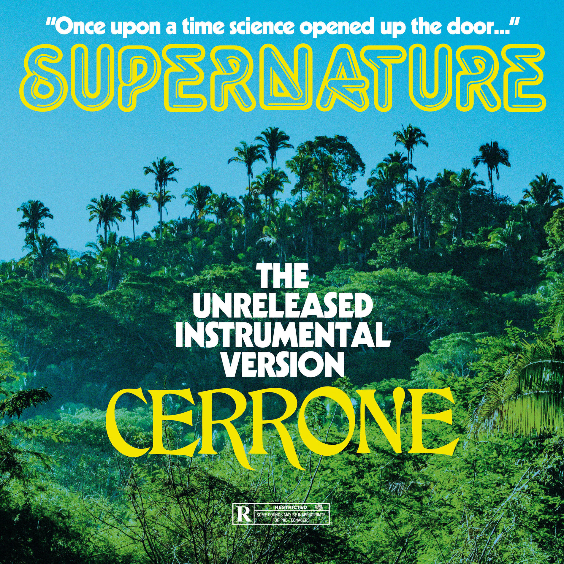 Album cover of Supernature (Instrumental CLIMAX edit)