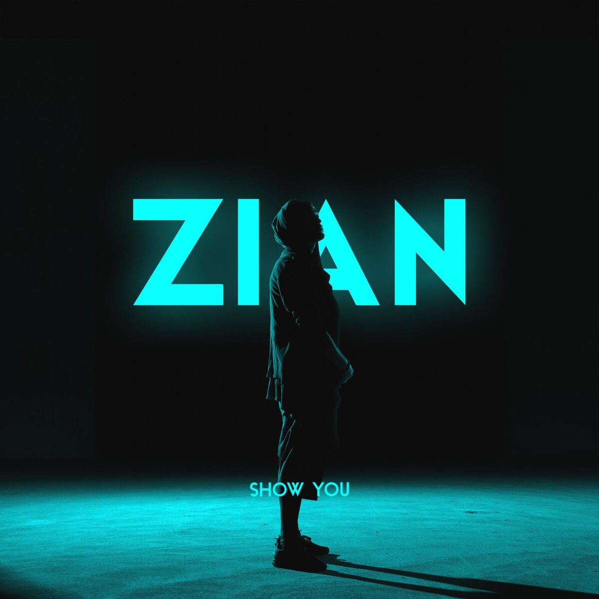 Album cover of Show You