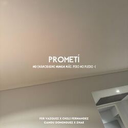 Cover of Prometí
