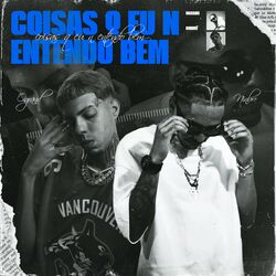 Cover of coisas q eu n entendo bem
