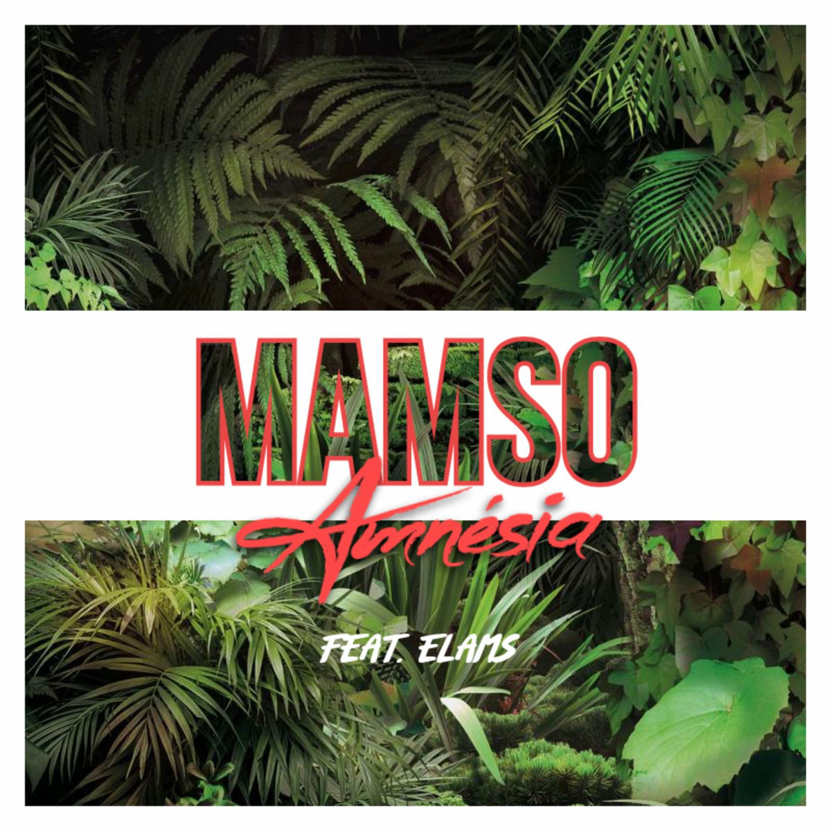 Album cover of Amnésia