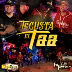 Cover of Te Gusta el Taa