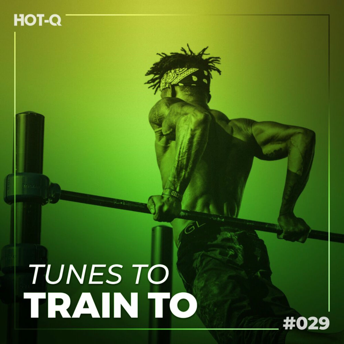 Album cover of Tunes To Train To 029