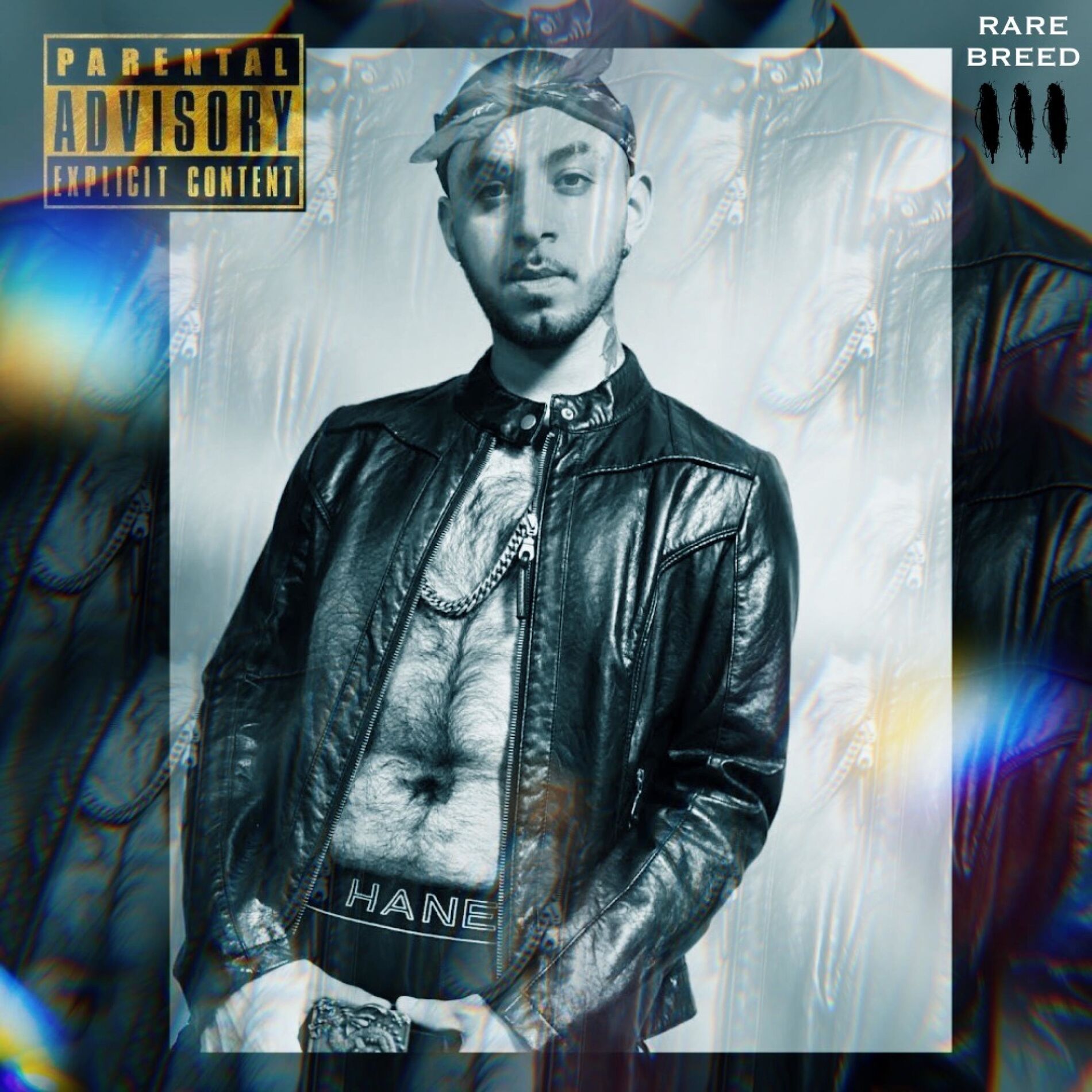 Album cover of Rare Breed 3