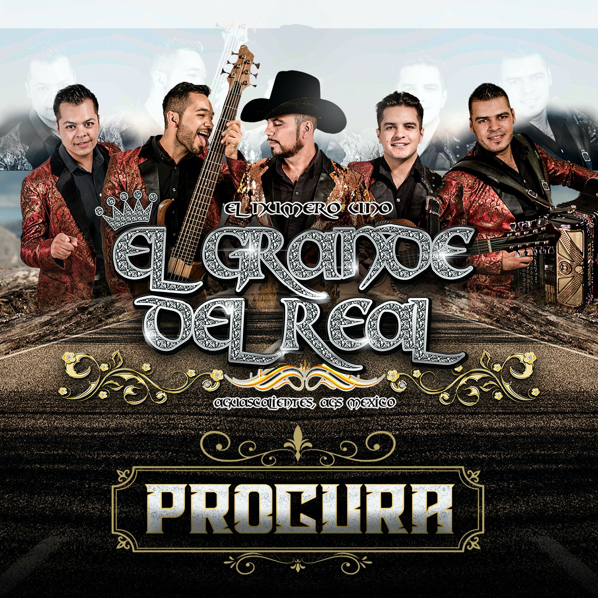 Album cover of Procura