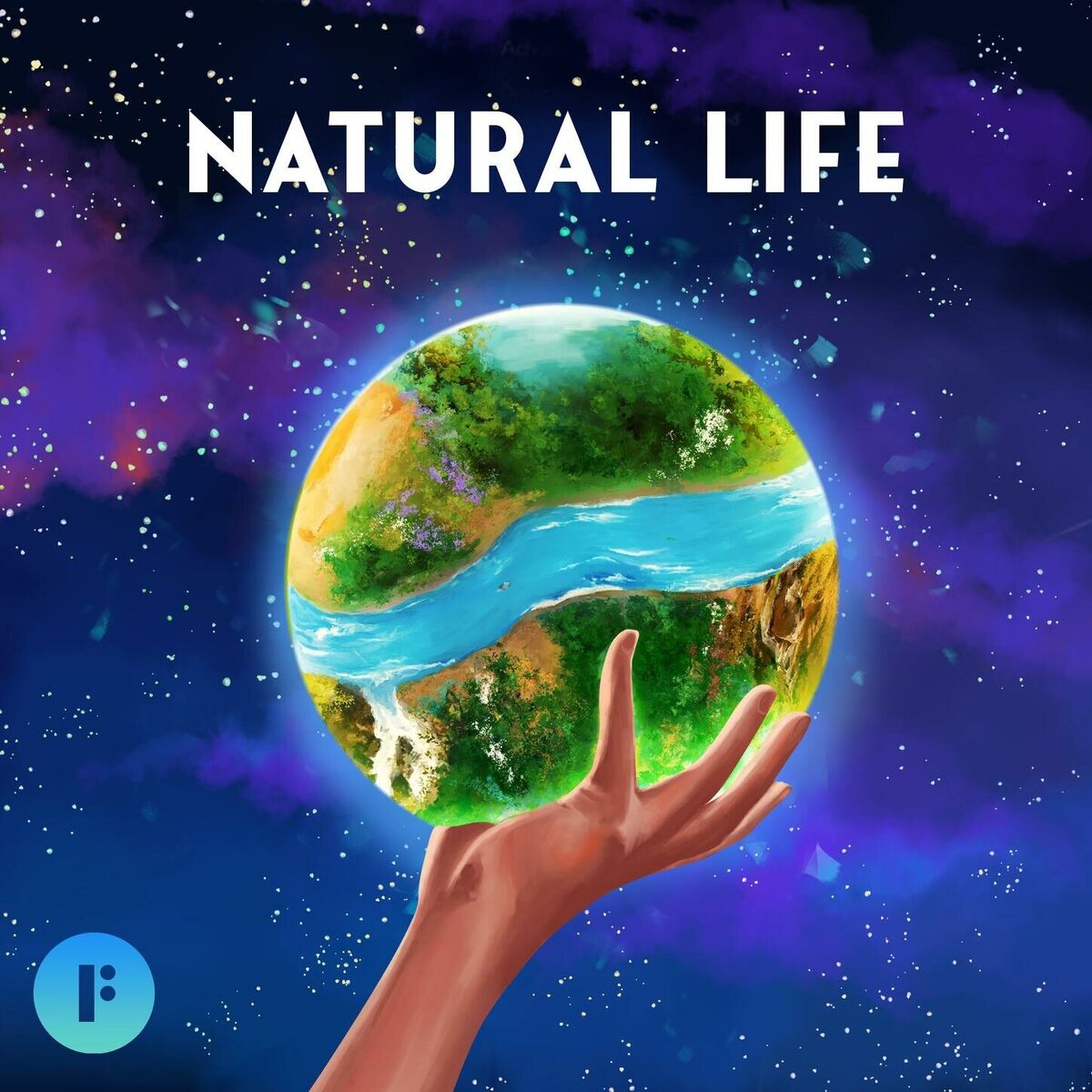 Album cover of Natural Life
