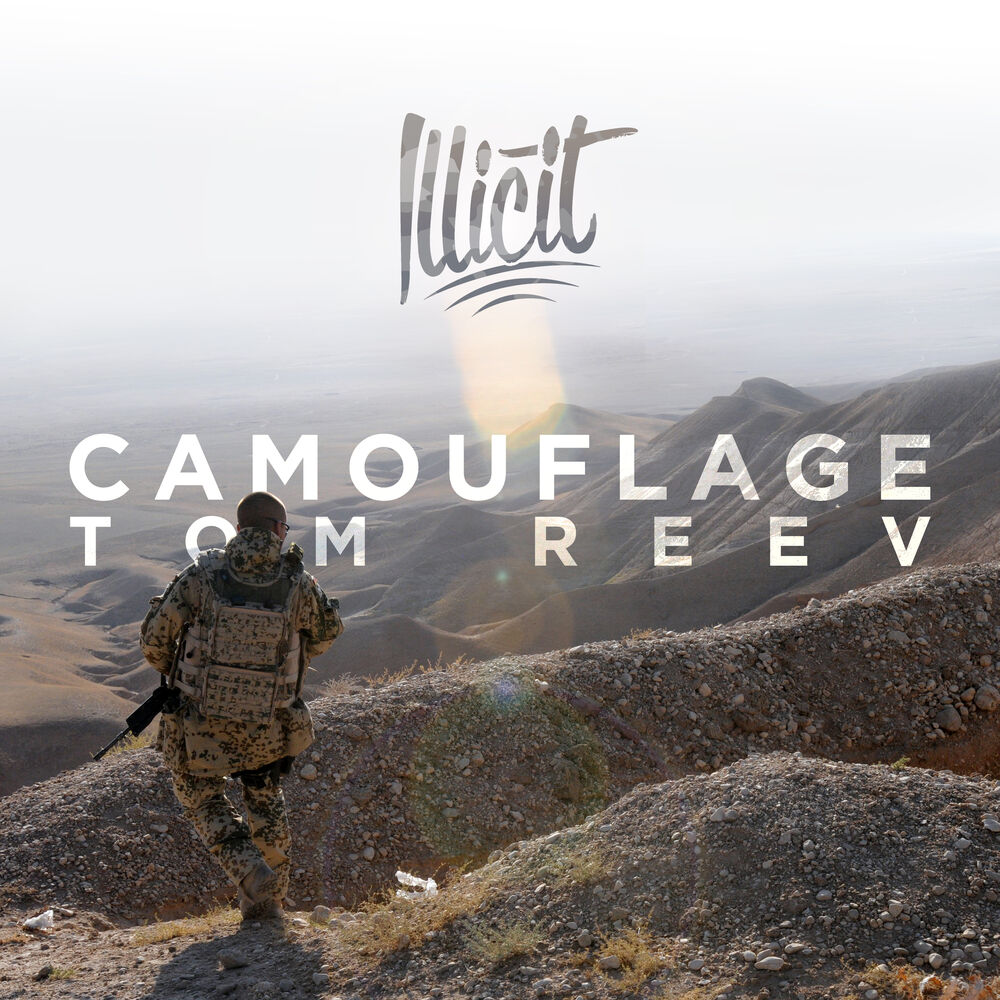 Picture of Camouflage