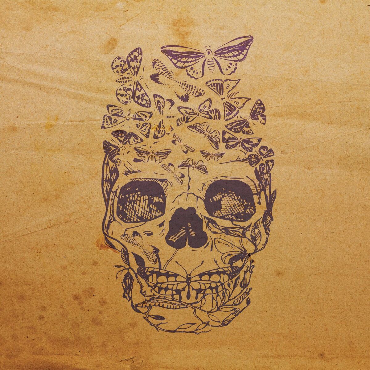 Album cover of New Decade Old Scars