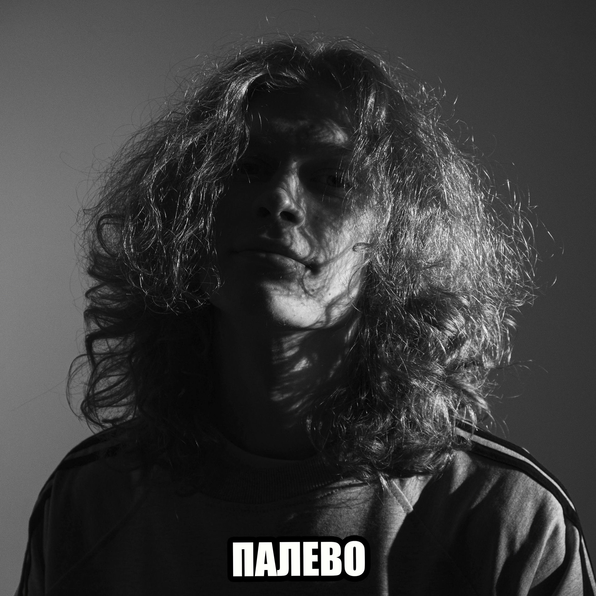 палево палево - Disya | Deezer