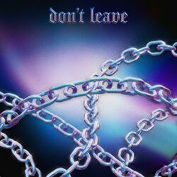 Cover of Don't Leave