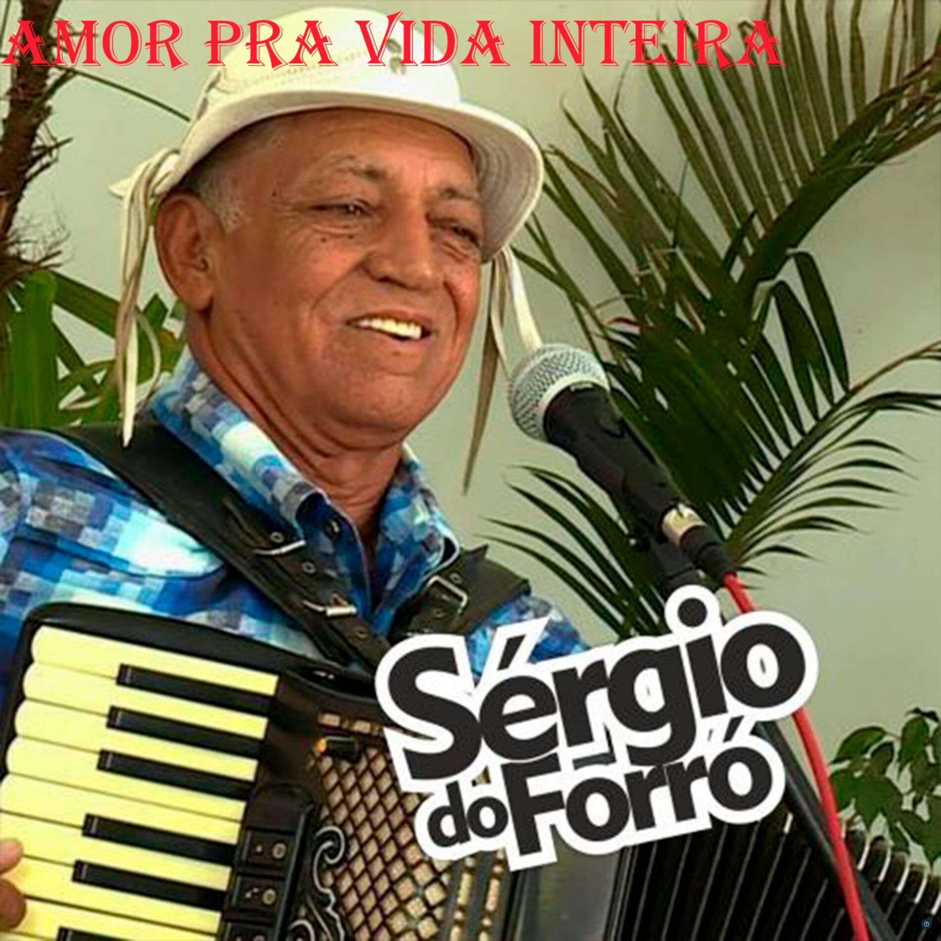 Album cover of Amor pra Vida Inteira