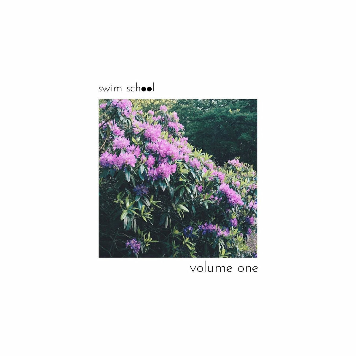 Album cover of volume 1