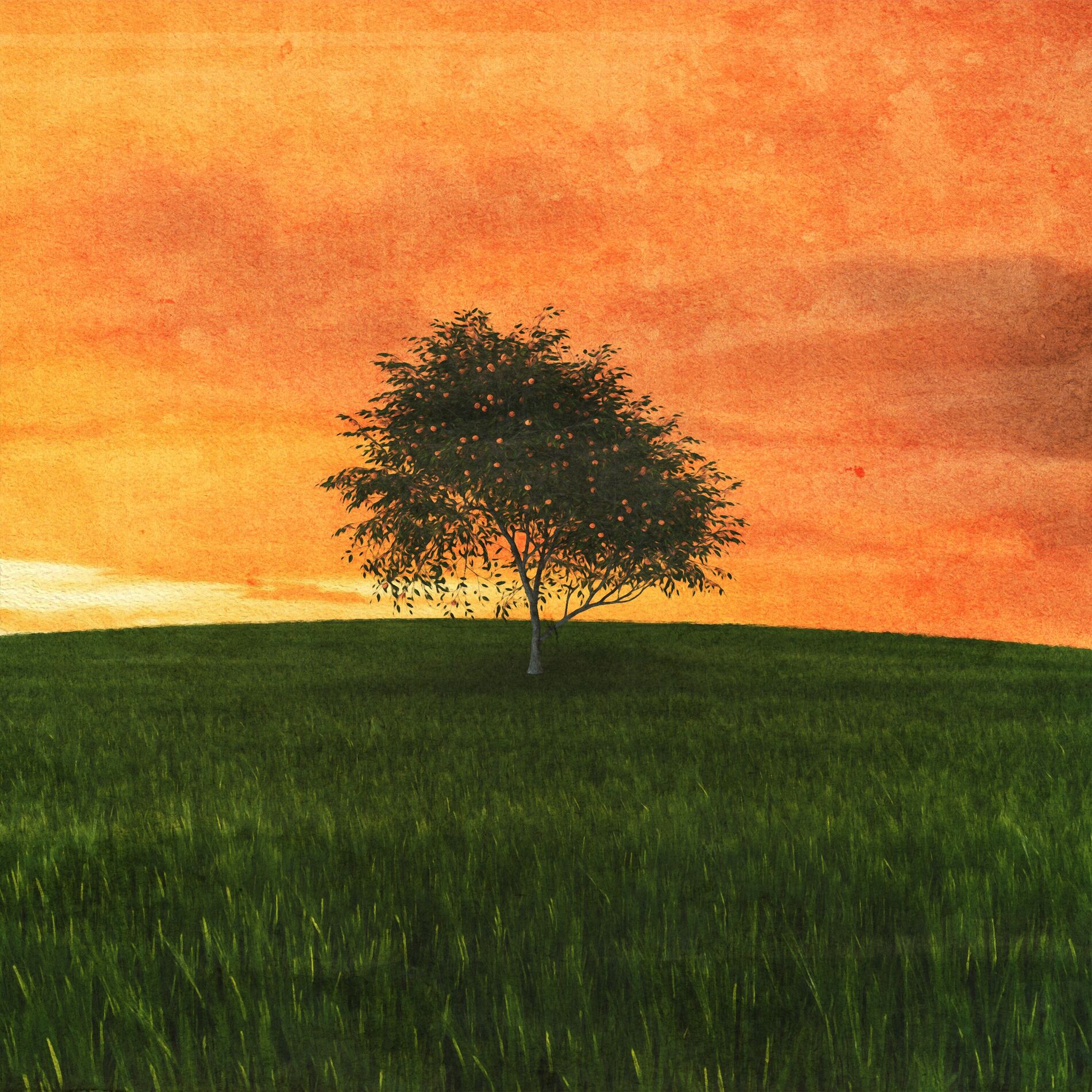 Album cover of Something In The Orange