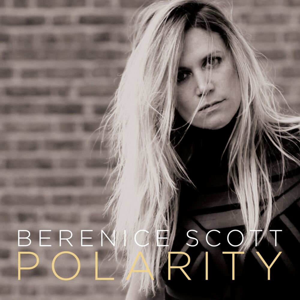 Picture of POLARITY