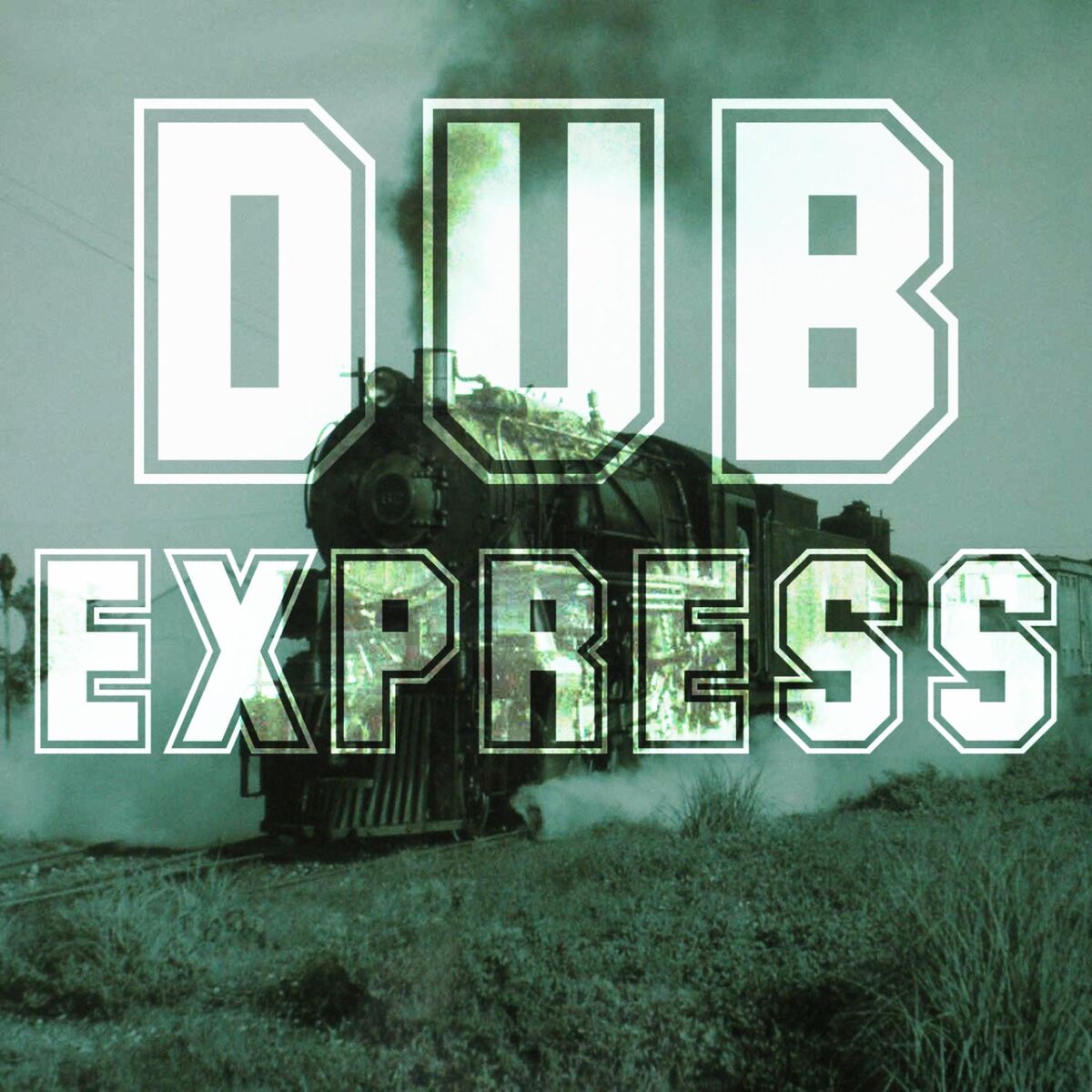 Album cover of The Dub Express