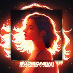 Cover of Bujisoaswi