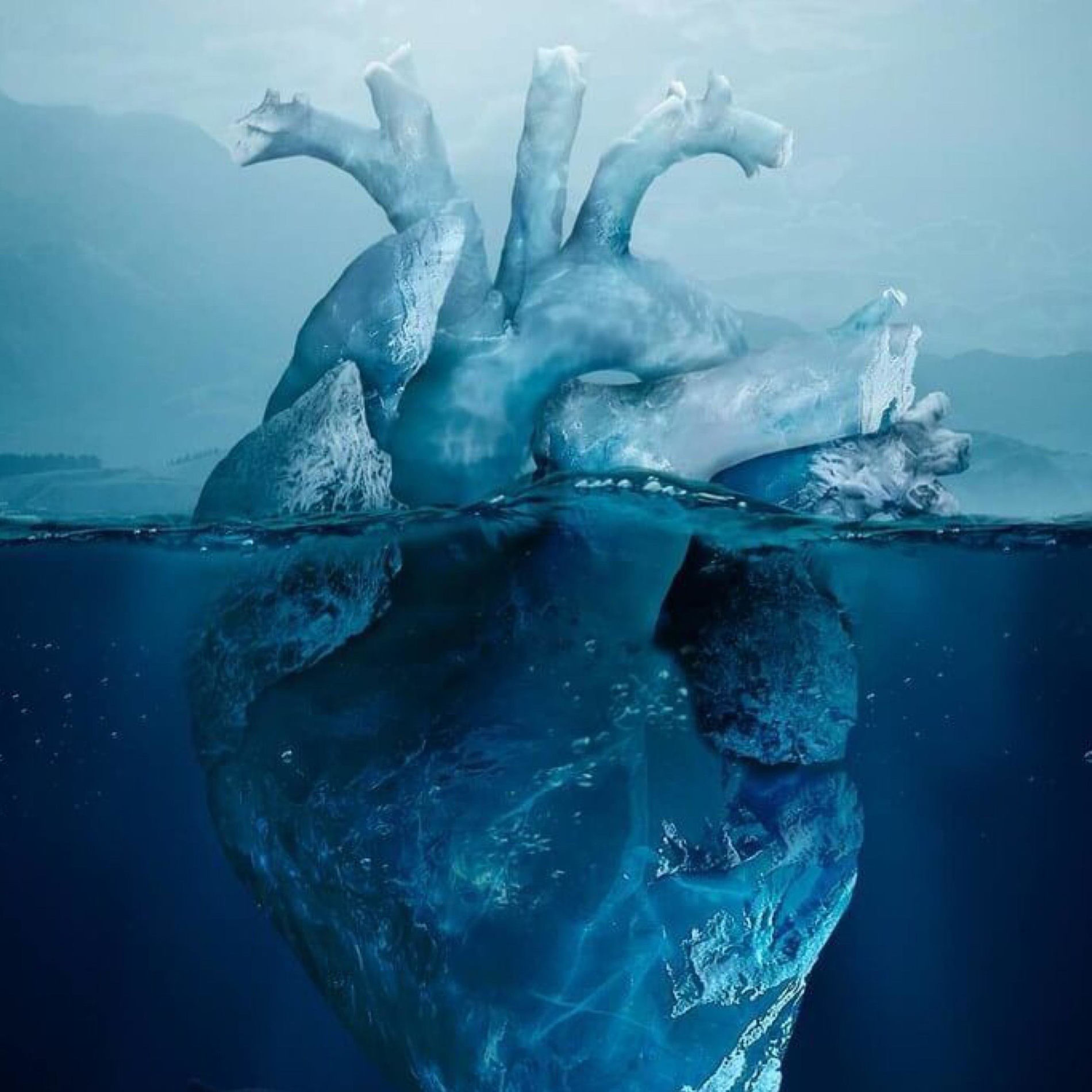 Album cover of Kalt (feat. Love Pact)
