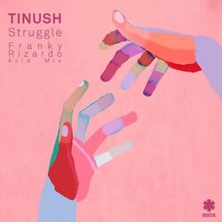 Cover of Struggle (Franky Rizardo Acid Mix)