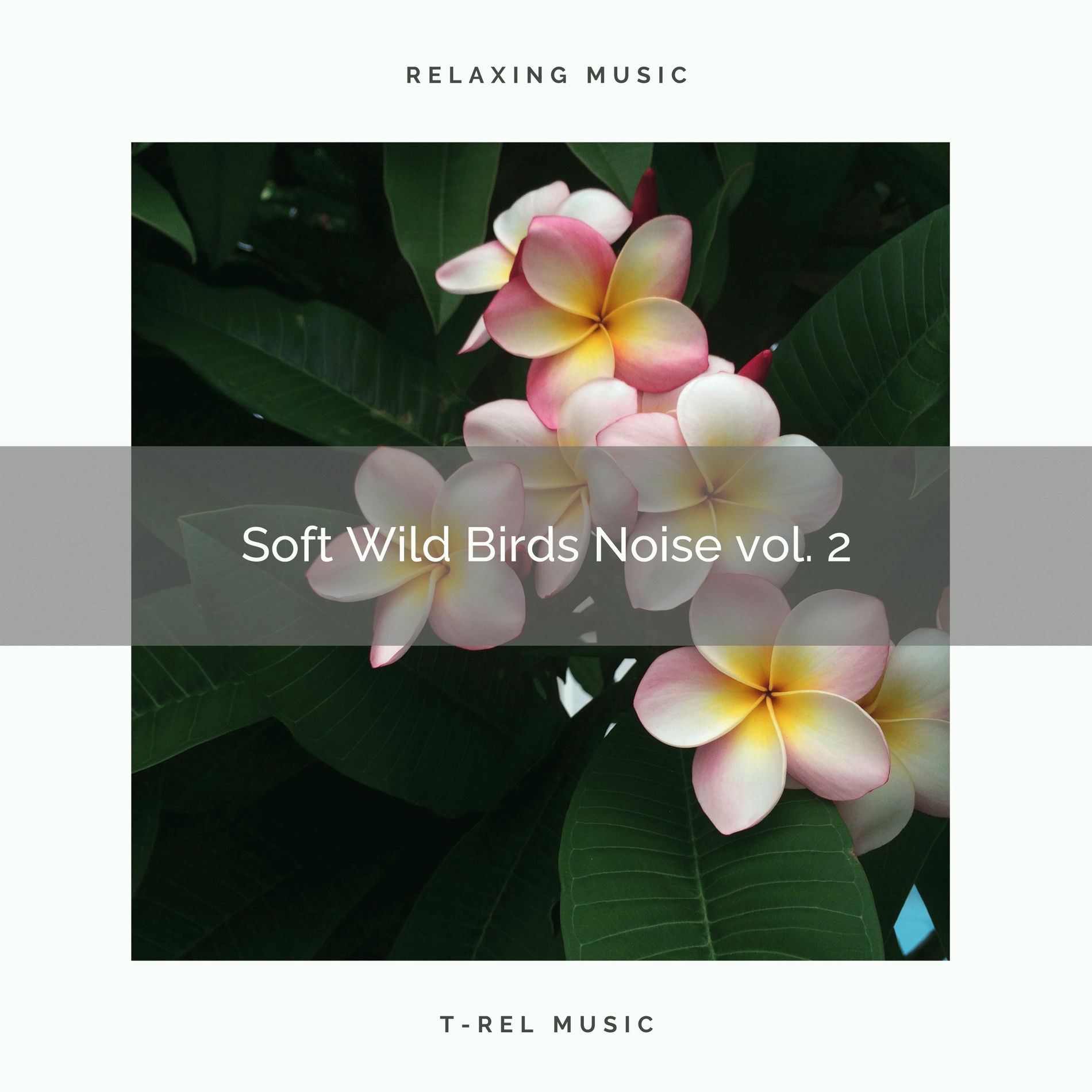 Album cover of ! ! ! ! ! ! ! ! ! ! Soft Wild Birds Noise vol. 2