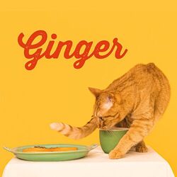 Cover of Ginger