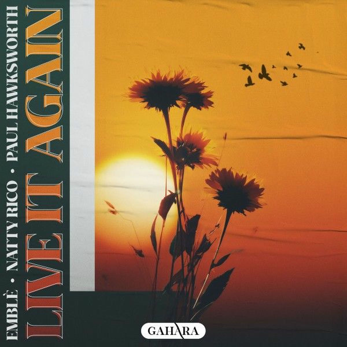 Album cover of Live It Again