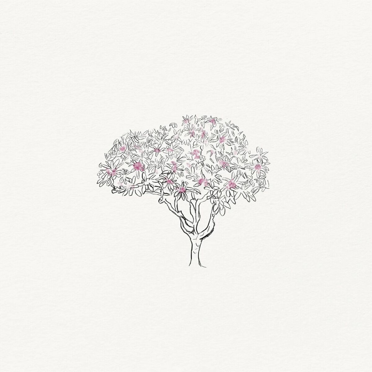 Album cover of Frangipani
