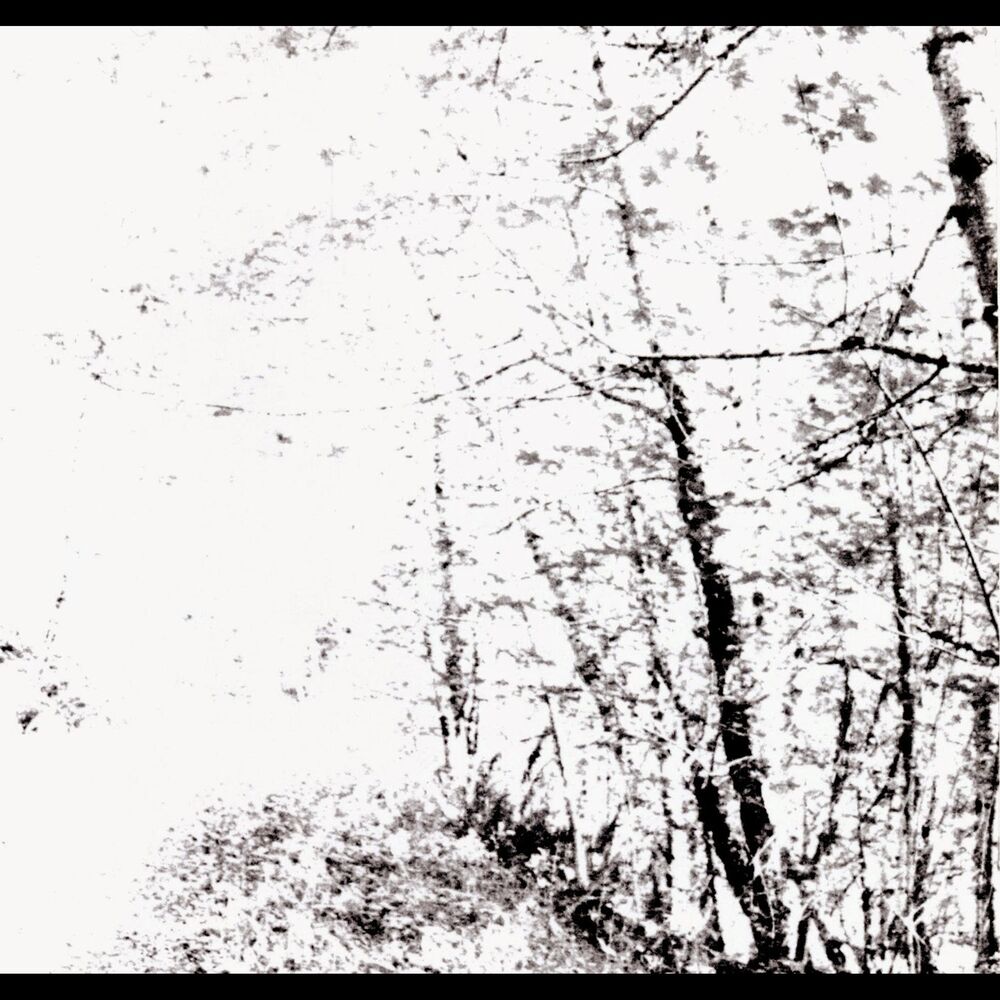 Picture of The White EP