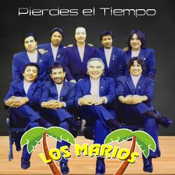 Cover of Pierdes el tiempo
