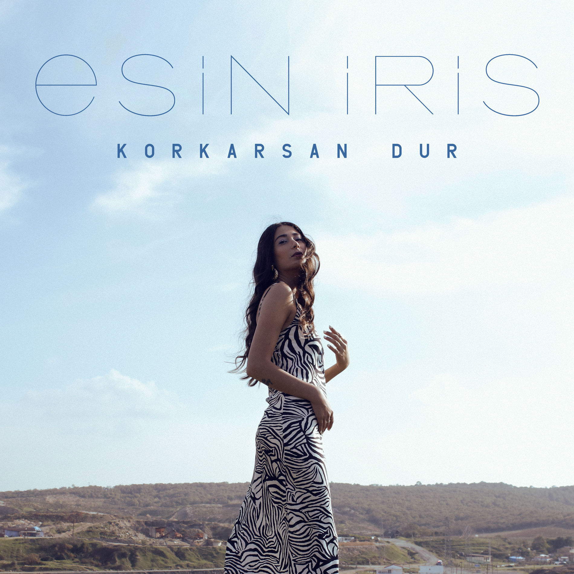Album cover of Korkarsan Dur