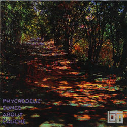 Phychedelic songs about caliche
