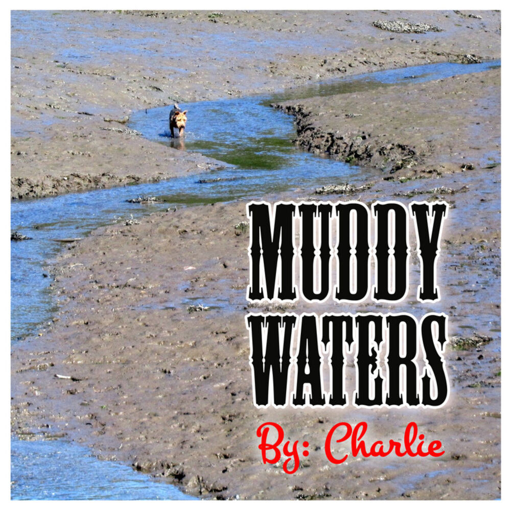 Picture of Muddy Waters