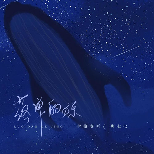 落单的鲸