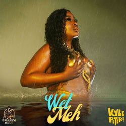 Cover of WET MEH TV TRACK by undefined