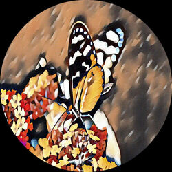Cover of Peach Drama EP